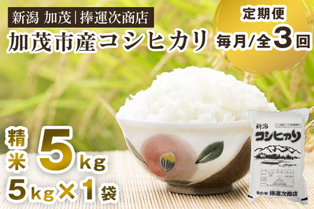【令和8年産新米先行予約】【定期便3回毎月お届け】加茂市産コシヒカリ 精米5kg（5kg×1袋） 《10月上旬～順次出荷》
