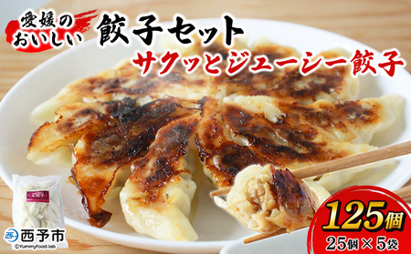 ＜愛媛のおいしい餃子セット サクッとジューシー餃子 125個(25個×5袋)＞ぎょうざ ギョーザ 餃子 国産 ジューシー パリッ 国産野菜 ブランド豚 鍋 浅野食品 愛媛県 西予市【冷凍】『1か月以内に順次出荷予定』OAH0002