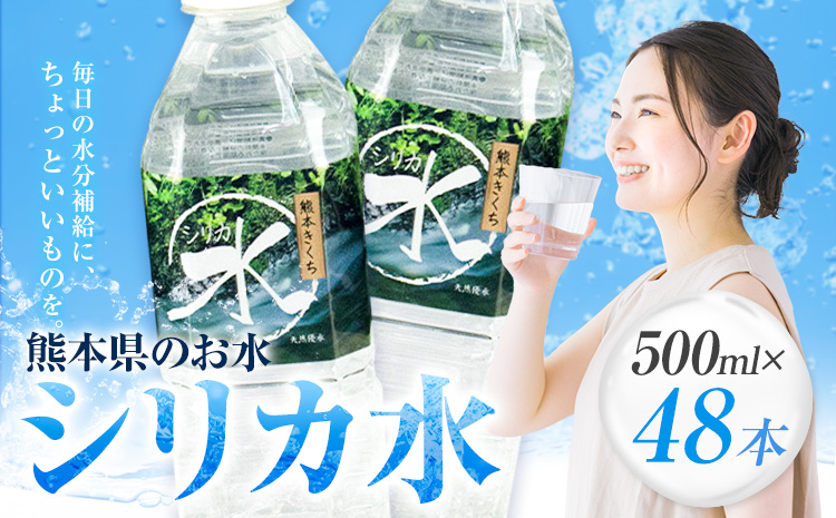 水 シリカ水 500ml × 48本 有限会社七城町特産品センター メロンドーム 《30日以内に出荷予定(土日祝除く)》 熊本県 菊池市 水 軟水 飲料 ドリンク 清涼飲料水 天然地下水 ペットボトル ミネラルウォーター 定期便 送料無料---003-1495---