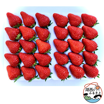 イチゴ　紅ほっぺ　450g×2p(1果重30g以上) ギフトに最適【配送不可地域：離島・北海道・沖縄・東北・中国・四国・九州】【1464218】