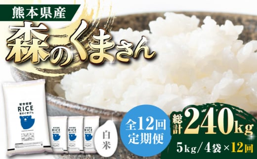 《 新米先行予約 》【全12回定期便】2025年10月より順次発送  森のくまさん 白米 20kg(5kg×4袋)【有限会社  農産ベストパートナー】 [ZBP124]