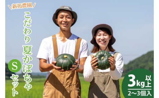 新拓農園のこだわり夏かぼちゃSセット 【7月下旬より配送 野菜 やさい カボチャ 1万円以内 10000円以内 ほくほく 甘い おいしい パンプキン 国産 産地直送 期間限定 季節限定 茨城県 鹿嶋市】（KDC-6）