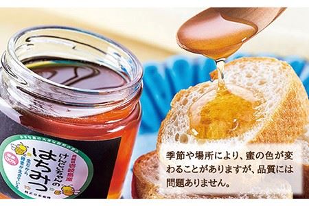 【先行予約】ニホンミツバチ 生蜂蜜 300g【2026年6月中旬以降順次発送】《壱岐市》【憲ちゃんハチミツ】[JCL002] はちみつ ハチミツ 蜂蜜 日本蜜蜂 国産 非加熱 17000 17000円