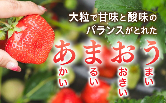 農家直送！ 糸島産 完熟あまおう 280g×4パック　(S-Gサイズ) 糸島市 / 小河農園 [AJN004]