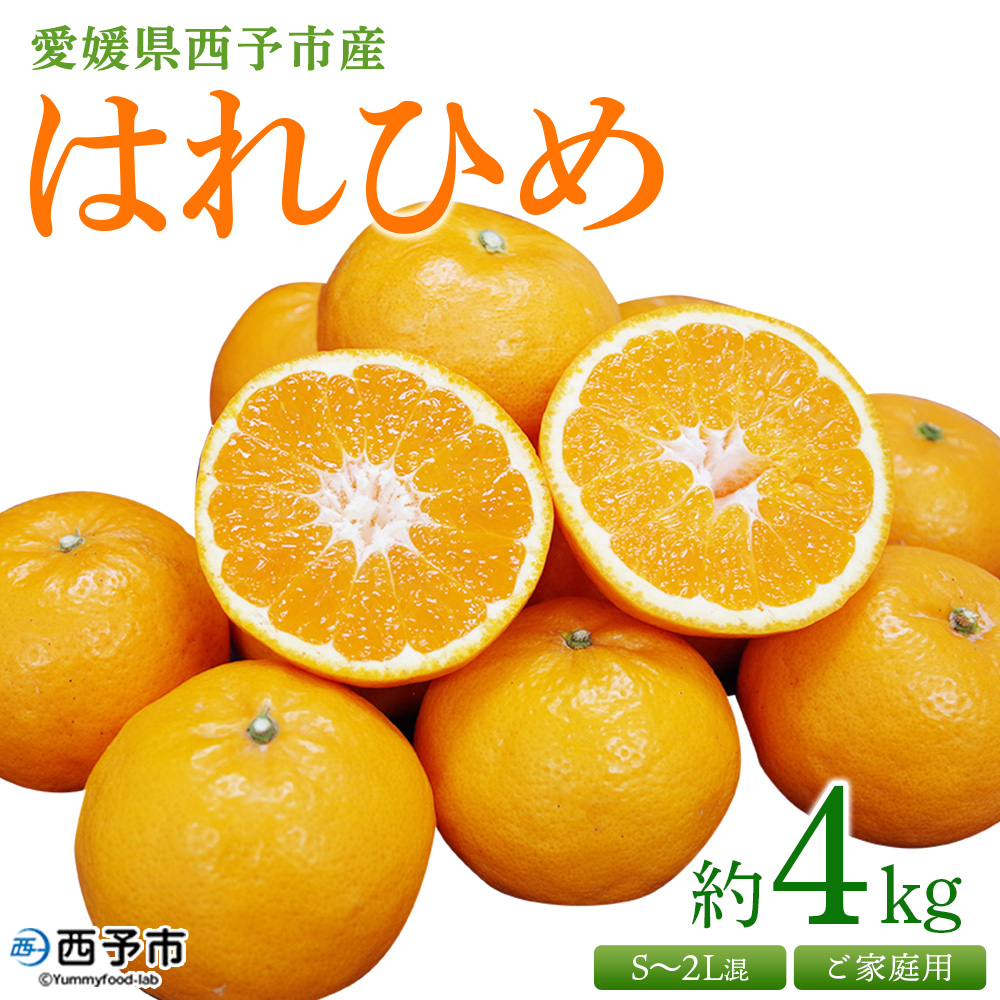 ＜愛媛県西予市産 はれひめ ご家庭用 約４kg＞ 訳あり ワケアリ 不揃い 果物 くだもの フルーツ みかん ミカン 柑橘 オレンジ ハレヒメ 媛県 西予市