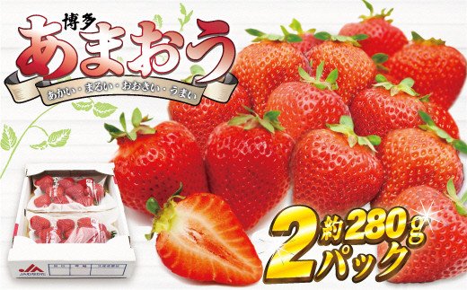 
            【2026年2月より順次発送】博多あまおう2パック　約560g[G2242]
          