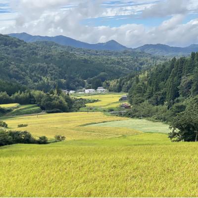 ふるさと納税 松江市 令和7年産 プレミアム仁多米(こしひかり)なおらい米 真空パック 2kg×1袋(合計2kg)松江市 |  | 03