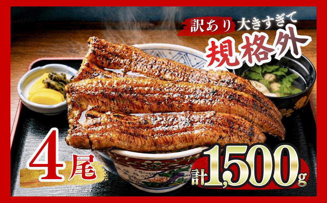 
                  うなぎ 訳あり 蒲焼 特大 肉厚 4尾 約 1.5kg 小分け タレ 山椒付き [大黒物産 福岡県 宇美町 um40bak830002] うなぎ 鰻 ウナギ unagi うなぎ蒲焼 鰻蒲焼 蒲焼き 蒲焼 小分け タレ 山椒 付き 真空パック 個包装 冷凍 不揃い 規格外 家庭用 13000 13000円 うなぎ 鰻 ウナギ unagi
                