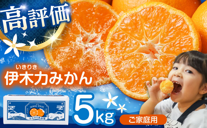 ※【2026年10月下旬より順次発送／先行予約】伊木力みかん(家庭用) 5kg / みかん ミカン 蜜柑 オレンジ フルーツ 果物 / 諫早市 / 山野果樹園 [AHCF002R]