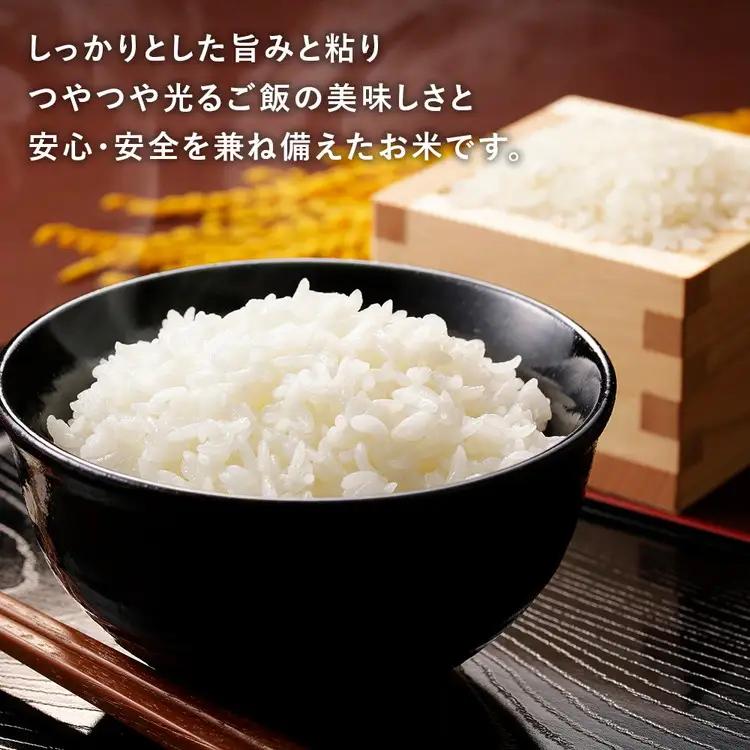 令和8年産米（数量限定）ちばエコ認定米 栄町産 コシヒカリ5kg 長谷川農園｜令和8年産 白米 精米 お米 コメ ごはん お弁当 おにぎり 人気 おすすめ 11-46