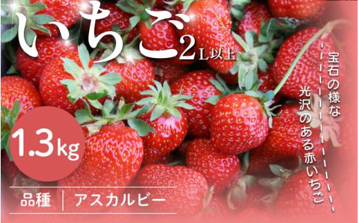 いちご 1.3kg 先行予約 アスカルビー 2L以上 究極のいちご 甘酸っぱい 甘い 香り 苺 イチゴ 果物 フルーツ ストロベリー ジャム スムージー 期間限定 洋菓子 家族 子ども フルーツサンド フルーツ大福 いちご大福 苺大福 ケーキ アイス シャーベット 人気 オススメ お取り寄せ グルメ ミカモフレテック みよし 徳島県 三好市