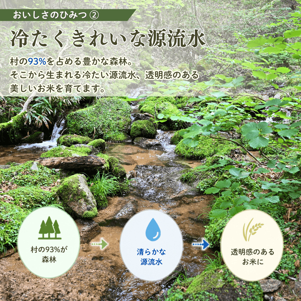 【令和8年産新米・先行予約】【6回定期便】あわくら源流米 コシヒカリ 白米 5kg｜岡山県西粟倉村 お米 米 新米 予約 定期便 毎月お届け 5キロ 小分け お弁当 冷めても美味しい おにぎり ギフト
