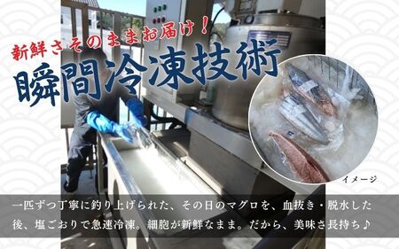 【訳あり】和歌山県すさみ産 天然生マグロ 冷凍 生 約200g×5個　マグロ 海鮮丼 鮪 寿司 海鮮 小分け 刺身 和歌山 すさみ町 キハダマグロ メバチマグロ 大容量【scp003】