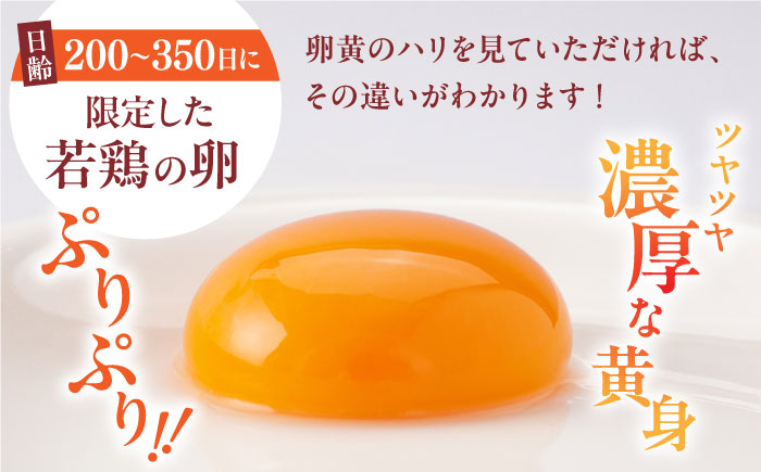 【全12回定期便】熊本県産 蘇陽の月 60個入り ( 10個入り × 6パック ) 山都町 たまご 卵【蘇陽農場】 [YBE024]