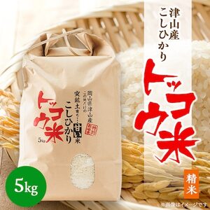 【突鉱土育ち】津山産トッコウ米(こしひかり)5kg【1361991】