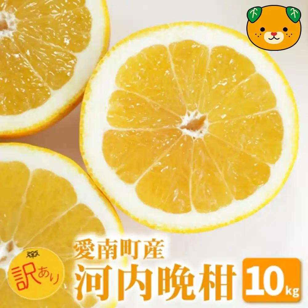 山口農園 訳あり 河内晩柑 10kg 愛南ゴールド 河内晩柑 柑橘 みかん 愛媛県 愛南町