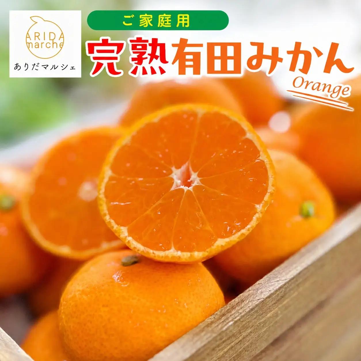 【11月発送】 ＼先行予約／ 有田 育ちの完熟 有田 みかん 家庭用 5.2kg(5kg+200g) / 有田みかん 柑橘 甘い フルーツ 果物 産地直送 和歌山 ※北海道・沖縄・その他離島地域は発送
