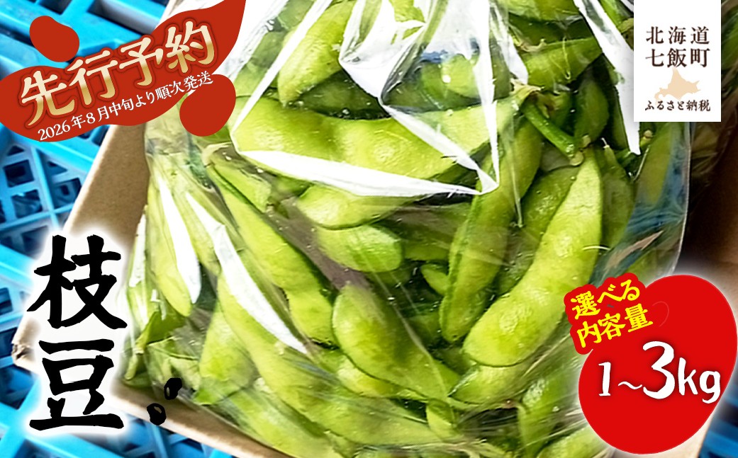 
                  【先行予約 令和8年8月中旬より順次発送】 選べる内容量 北海道産 枝豆500g×1~3 おいしい！ 【 ふるさと納税 人気 おすすめ ランキング えだまめ 栄養 おつまみ 岡田農場 北海道産 北海道 七飯町 送料無料 】 NAZ020-1
                