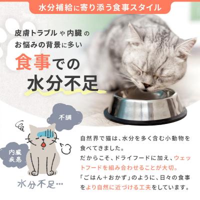 ふるさと納税 京都市 【MANMA BUONO】猫の手作りごはん お試しBセット4種|ペットフード 有名 人気ペットフード |  | 02
