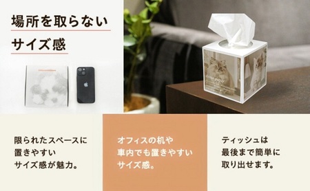場所をとらないキューブ型 ティッシュ14箱