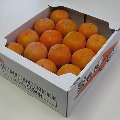 ふるさと納税 観音寺市 富有柿　7.5kg