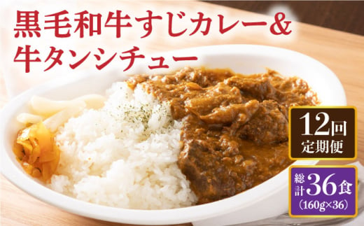 【全12回定期便】 黒毛和牛 牛すじカレー ＆ 牛タンシチュー 毎月3食 長与町/炭火焼肉あおい  [EBW009] 黒毛和牛 カレー かれー 牛すじカレー 牛スジカレー 牛タン 牛たん シチュー レトルト 簡単 常温 定期便