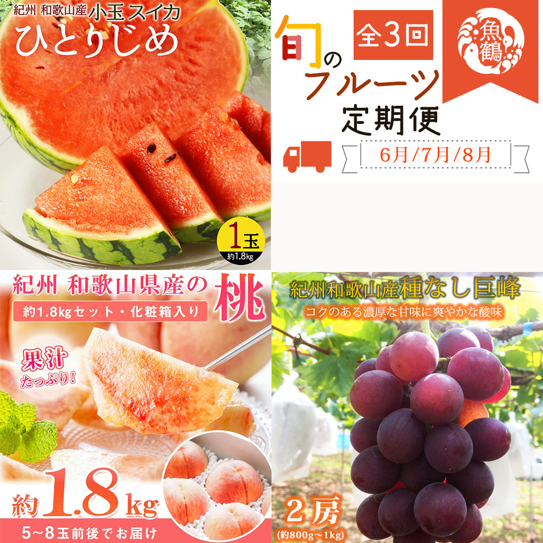 
            【全3回】紀州和歌山産旬のフルーツ定期便 (スイカ・桃・巨峰) / すいか スイカ もも 桃 白桃 巨峰 ぶどう 果物 くだもの フルーツ フルーツ定期便 和歌山【tkb420】 
          