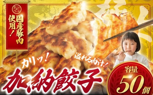 ぎょうざ 餃子 50個 肉汁 旨い パック 豚肉 ぶた 野菜 焼き餃子 水餃子  国産豚  豚肉 野菜 ギョーザ gyouza 冷凍餃子 肉 冷凍ぎょうざ ぶたにく 生餃子 冷凍 ご飯 おかず 夕食 おつまみ 晩酌 簡単調理 時短 簡易包装 手作り餃子 冷凍 冷凍食品 中華 加納食堂 神奈川 湘南 藤沢