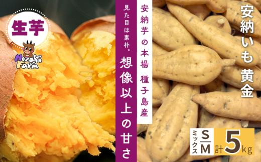 種子島 野﨑ファーム 安納いも (こがね) S・Mミックス 5kg　NFN699【300pt】// 安納芋 本場  糖度 熟成期間 G.I 保護制度 ブランド  生いも 芋 いも さつまいも こがね 黄金