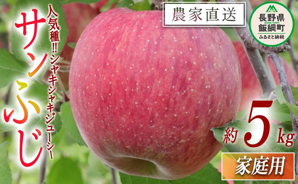 お家で食べるりんご サンふじ 家庭用 5kg 大友農場 エコファーマー認定 沖縄県への配送不可 2025年12月中旬頃から2026年1月下旬頃まで順次発送予定 令和7年度収穫分 信州 果物 フルーツ リンゴ 林檎 長野 予約 農家直送 長野県 飯綱町 [0835]