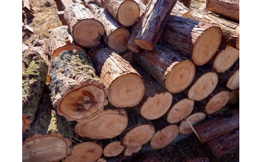 東濃ひのき薪 20kg×4箱 皮つき 国産 ひのき ヒノキ アウトドア キャンプ 薪 まき ストーブ 焚火 暖炉 日用品 岐阜県 七宗町 福薪