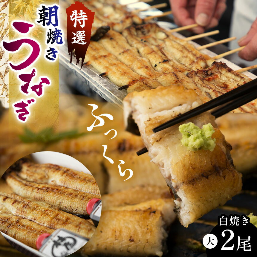 【ふるさと納税】 特選 ふっくら朝焼きうなぎ 林屋 白焼き 大2尾 または 3尾 ｜ふるさと納税 特選 ふっくら 朝焼き うなぎ 林家 白焼き 特選白焼き 白焼きうなぎ 高級林屋 ギフト 栃木県 那珂川町 送料無料