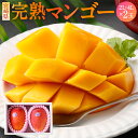 【ふるさと納税】＜宮崎県 完熟マンゴー 4L×2玉 1kg＞＜3L×2玉 900g＞＜2L×2玉 700g＞2025年4月上旬～7月中旬迄に順次出荷 マンゴー 2玉 選べる 果物 くだものフルーツ 完熟 トロピカルフルーツの女王 贈答品 ギフト 南国 期間・数量限定 宮崎県 児湯郡 高鍋町 送料無料