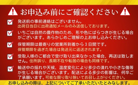 いちご やよいひめ 2パック 約600g 先行予約 【配送時期 1月下旬～4月下旬頃】 