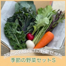 【栽培期間中農薬・化学肥料不使用です】ともときファーム丹波の季節の野菜セットS