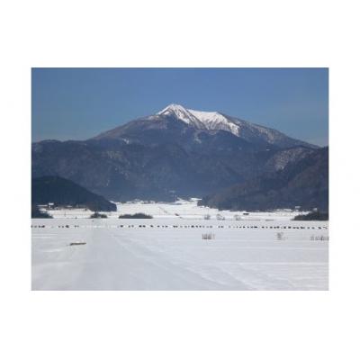 ふるさと納税 山口市 無洗米阿東のこしひかり2kg×4袋(白米) D408 |  | 03