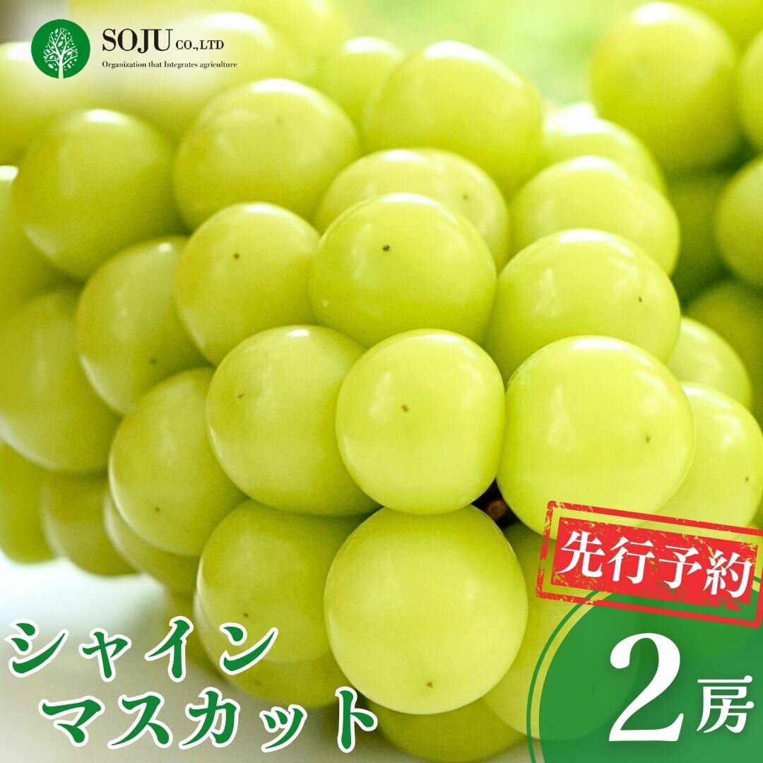 【ふるさと納税】先行予約 シャインマスカット 2房 [8月下旬から発送予定] 令和7年度 贈答用 新潟県 三条市産 ぶどう [三条果樹専門家集団]【016P032】