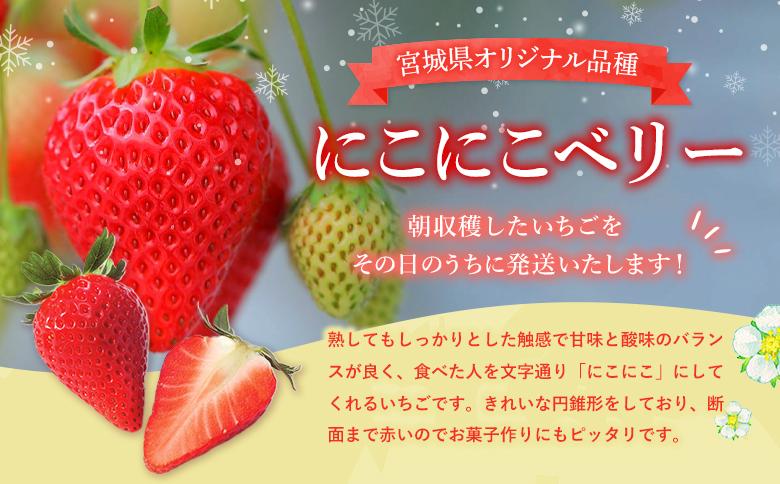 【先行受付】宮城県産いちご「にこにこベリー」約1kg（250ｇ×4）| ふるさと納税 宮城県 丸森 いちご 苺 イチゴ ストロベリー フルーツ 果物 くだもの オリジナル品種 デザート スイーツ 甘味