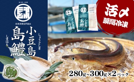 ハモ 魚貝類 小豆島島鱧 活け締め骨切り 小豆島産 ハモ【冷凍】