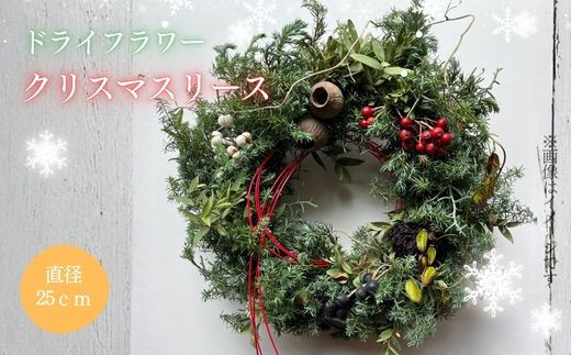 
                  ドライフラワー クリスマスリース │ リース 花 静岡県 小山町
                