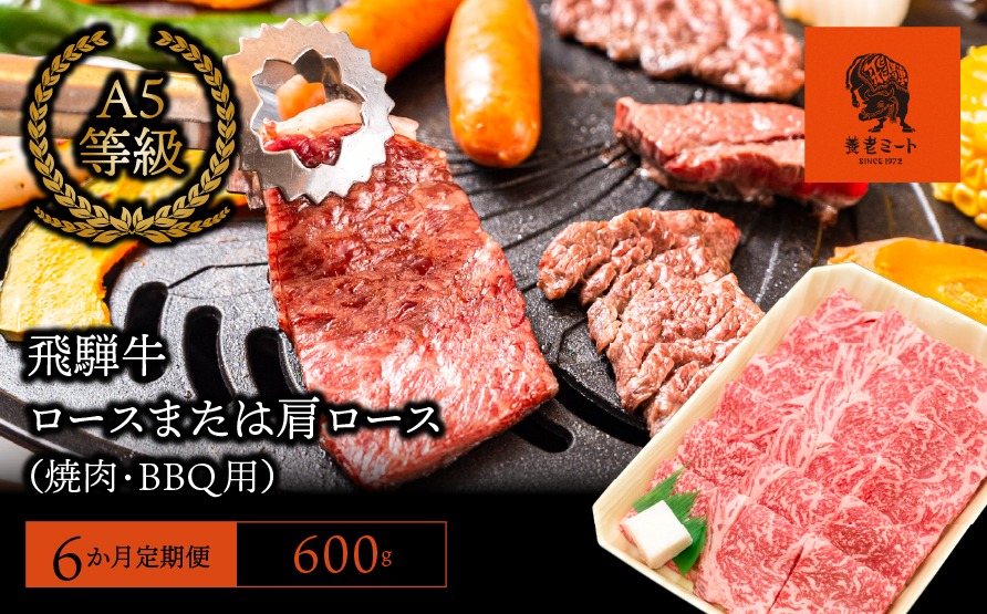 AJ-17-R7 【6か月定期便】【飛騨牛】ロースまたは肩ロース600g (焼肉・BBQ用)