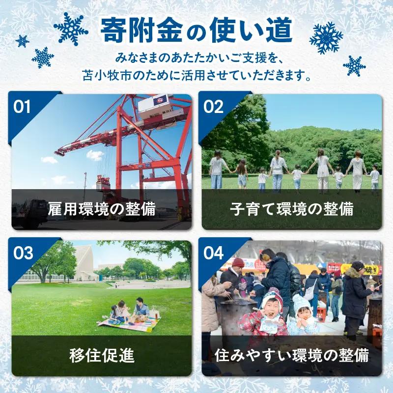 北海道 苫小牧市 応援寄附金 （ 返礼品なし ） 1,000円 T000-001-01 応援 返礼品無