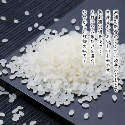 ふるさと納税 天草市 〈2024年産〉河浦町新合産　コシヒカリ　精米　6kg(3kg×2)_S112-005A |  | 02