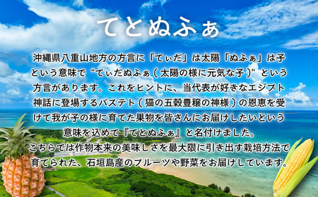 【先行予約2025年1月-5月配送】1番遅くて1番早い_ プレミアムヤングコーンとスイートコーンのよくばり定期便!!朝採れを皮付きのままお届け!!