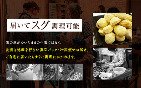 《11月中旬以降発送》京栗 生むき栗 冷凍 2kg（250g×8袋） / 栗 フルーツ 国産 綾部市 / エル・ファーム大槻［BSAR011］