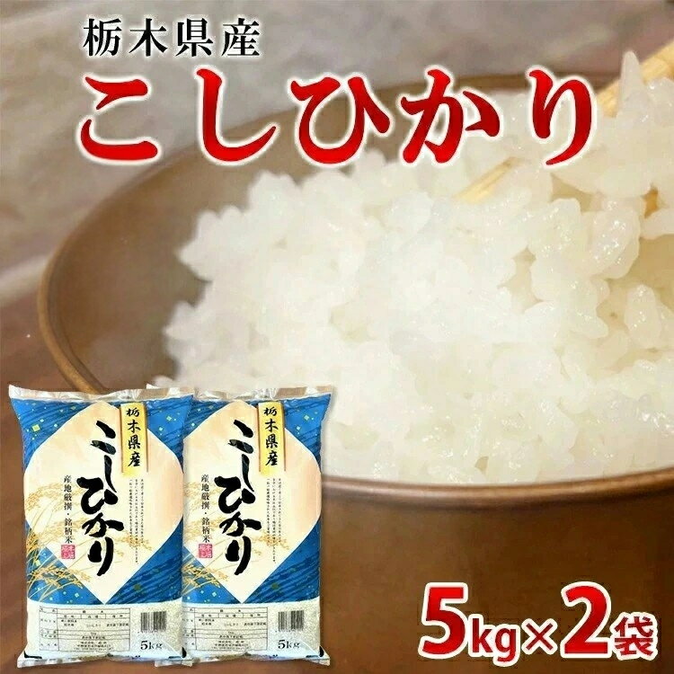 【ふるさと納税】【令和7年産】栃木県産こしひかり10kg（精米・5kg×2袋）　※離島への配送不可