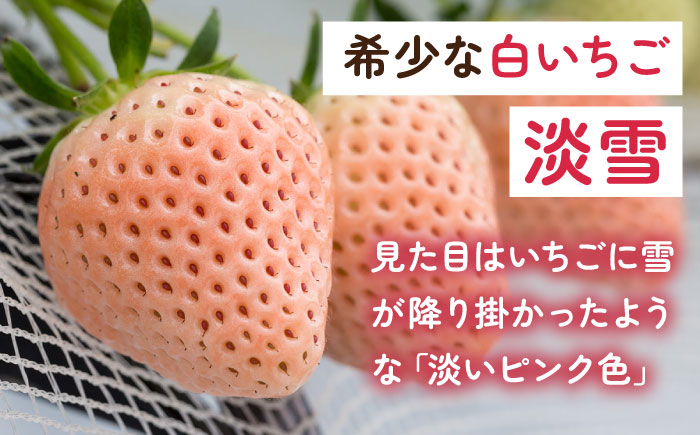 【令和7年分先行予約】【全3回定期便】淡いピンクの白いちご「淡雪」 計1.32kg （220g×2パック×3回） / いちご イチゴ 苺 果物 フルーツ / 佐賀県 / 岸川農園 [41ASAG005