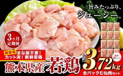 【3ヶ月定期便】鶏肉 小分け 鶏肉 むね  ムネ カット済 若鶏3.72kg 《お申込み月の翌月から出荷開始》
