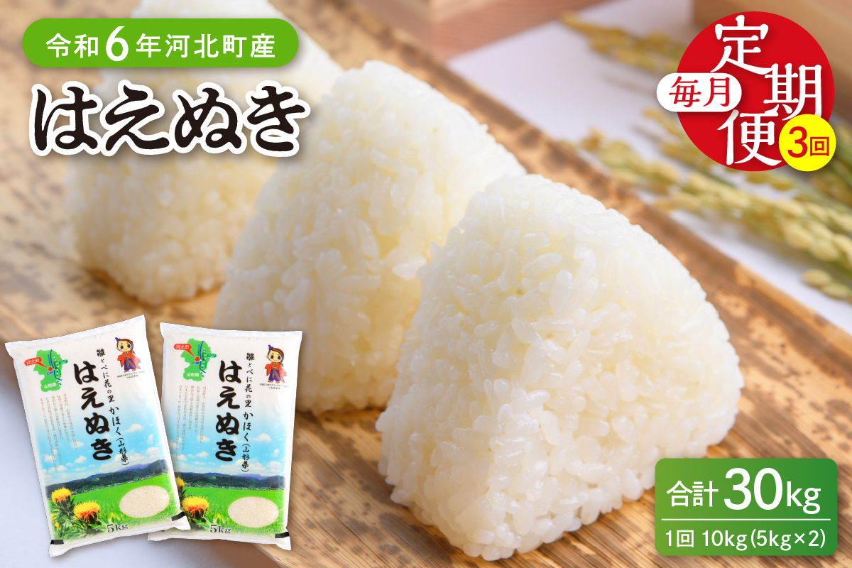 【令和6年産米】※2025年3月中旬スタート※ はえぬき30kg（10kg×3ヶ月）定期便 山形県産 【JAさがえ西村山】