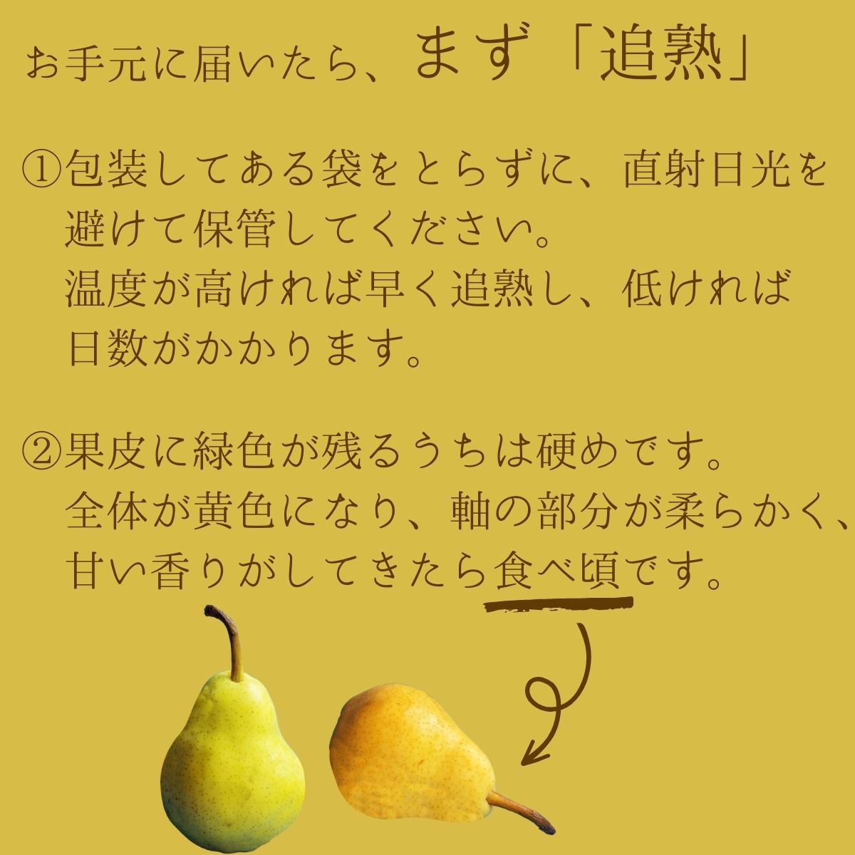 11月末より順次発送開始 ル・レクチェ 約3kg 長野県 信州 南信州 高森町 果物 くだもの フルーツ 旬のフルーツ 洋梨 梨
